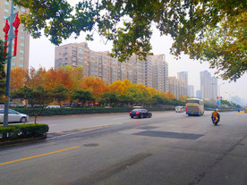 城市道路风景