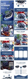 2020年度潘通经典蓝风格蓝莓