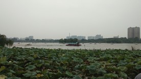 荷
