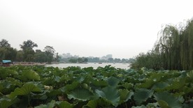 荷