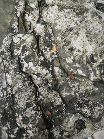 石头 肌理 景观 石头纹理