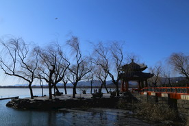 冬日风景