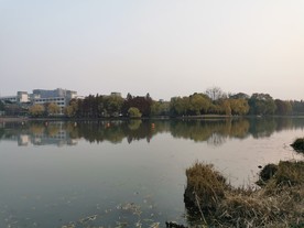 浙大紫金港校区