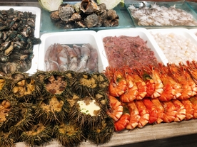 海胆和虾