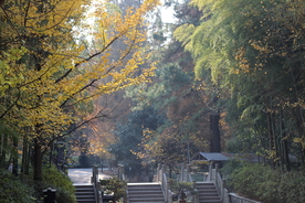 古建园林
