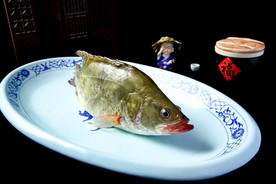 桂花鱼