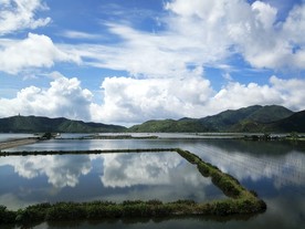 山水田园