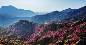 大珠山