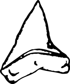 海洋生物系列 鲨鱼头