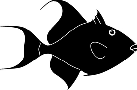 海洋生物系列 海鱼