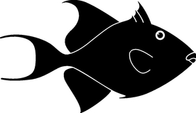 海洋生物系列 海鱼