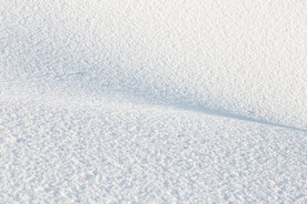 雪地