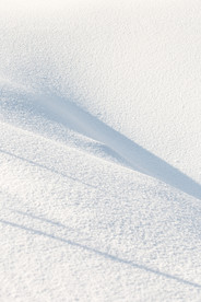 雪地