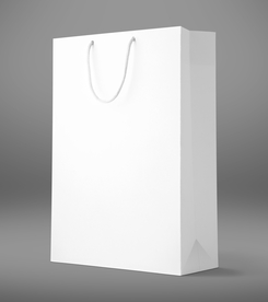 手提袋展示样机