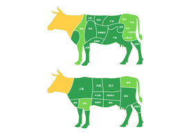 牛肉分割示意图