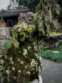 石头假山 石头肌理 纹理 盆景