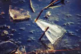 冻住的冰块与残荷