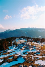 山