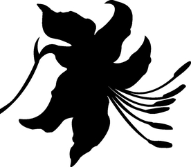 花卉系列 百合花