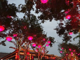 不夜城