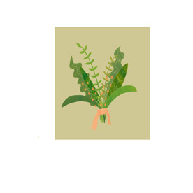 手绘绿色清新小植物