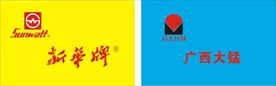 新华电池