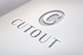 立体纹理标志logo贴图样机