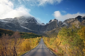 大山马路 背景