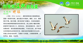 闪电河湿地