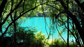蓝湖