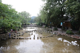 龙尾