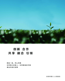 创新