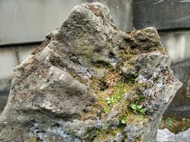 石头纹路 纹理 肌理 装饰盆景
