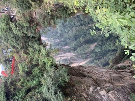 天门天 山峰 松树  山涧