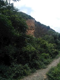 阳山