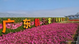 广东生态园