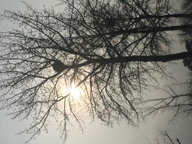 夕阳雪景