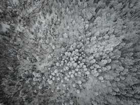 雪冬天