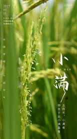 小满
