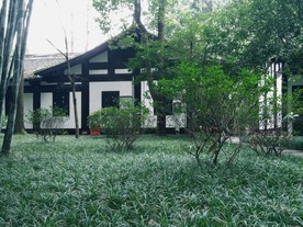 杜甫草堂 仿古建筑 草坪 园林