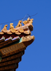 屋脊兽
