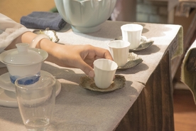 冲茶品茶茶艺生活养生休闲