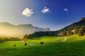 阿尔卑斯山美景