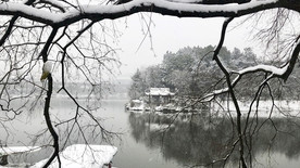 公园冬景