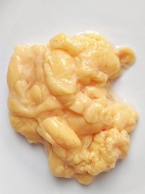 鸡油 油脂 黄色 食品 白底