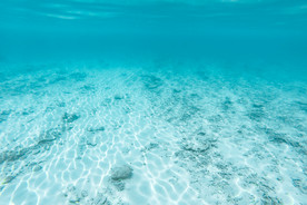 清澈浅海底部景色背景