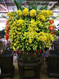 鲜花 花束