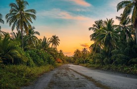 夕阳与小路