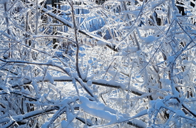 冰雪