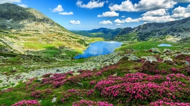 群山湖泊草地风景天空